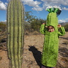 Photo #9 - Saguaro Cactus