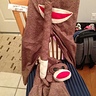 Photo #3 - Sock Monkey