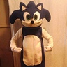 Photo #1 - Sonic the Hedgehog
