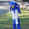 Sonic the Hedgehog Costume