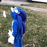 Photo #2 - Sonic the hedgehog Costume