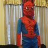 Spiderman Costume | Halloween Party Costumes