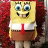 Photo #2 - Sponge Bob & Friends