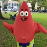 Photo #4 - Patrick Starfish