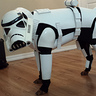 star wars dog costume stormtrooper