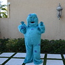 Photo #4 - Sully