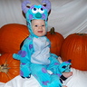 Photo #1 - Sully from Monsters Inc.