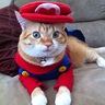 Super Mario Cat Costume