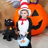Photo #1 - The Cat in the Hat