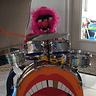Photo #2 - Animal plays the drums