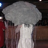 Photo #7 - Thumderstorm Costume-back