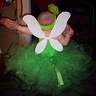 Photo #4 - Tinkerbell