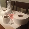 Photo #3 - Some of the supplies, a new and used roll of toilet paper showing how much paper was used for the costume