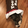 Photo #2 - Tootsie Roll
