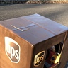 Photo #8 - UPS Delivery Truck