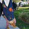 Photo #4 - Upside Down Scarecrow