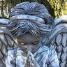 Photo #4 - Weeping Angel