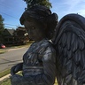 Photo #5 - Weeping Angel