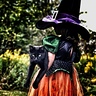 Photo #1 - Witch and Black Cat