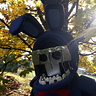 Photo #2 - Close up Withered Bonnie
