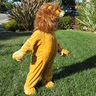 Photo #6 - The Lion