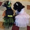 Photo #1 - The Wicked Witch of the West and Glinda the Good Witch