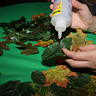 Photo #7 - Making the Leaf Shirts