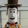 Photo #2 - Woody