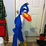 Photo #4 - Zazu