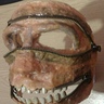 Photo #6 - Mask removed and teeth added