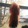 Photo #5 - Fox tail