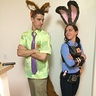 Photo #2 - Zootopia Nick and Judy Hopps