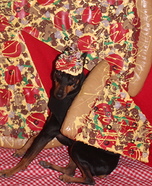 A Piece of the Pie Homemade Costume