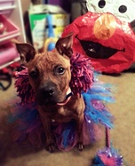 Abby Cadabby Dog Homemade Costume