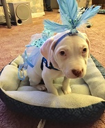Angelic Dog Homemade Costume