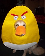 Angry Bird Dog Homemade Costume