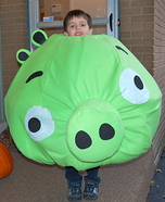 Angry Birds Pig Costumes