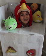 Angry Birds Costume