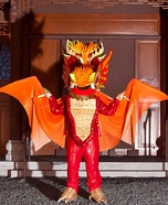 Asian Dragon Homemade Costume