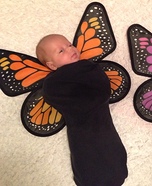 Baby Butterflies Homemade Costumes