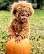 Baby Lion Costume