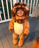 Baby Lion Costume