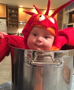 Baby Lobster Costume