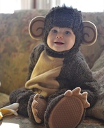 Baby Monkey Costume