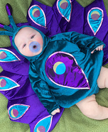 Newborn Baby Peacock Costume