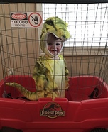 Baby T-Rex Homemade Costume