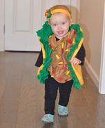 Baby Taco Homemade Costume