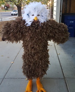 DIY Bald Eagle Costume