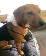 DIY Ballerina Dog Costume