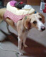 Banana Split Dessert Dog Costume